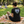 Start in Your Heart Tee