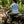 For the Love of Mud Tee